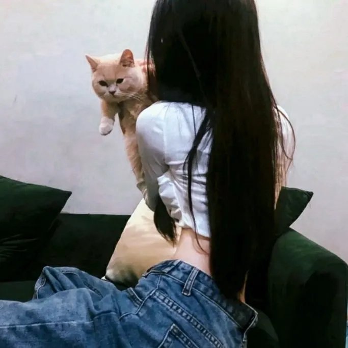 窃劫复仇